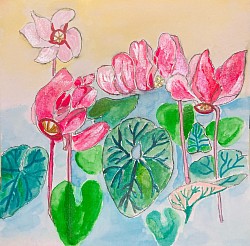 Cyclamens, d’après une estampe